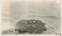 Image of Nest containing one egg of Burgomaster and one egg of Red throated Loon